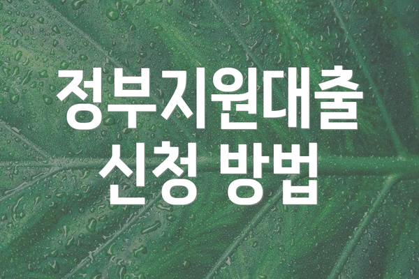 정부지원대출 신청 방법