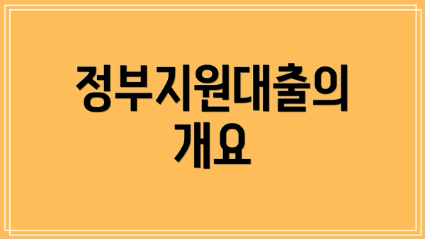 정부지원대출의 개요