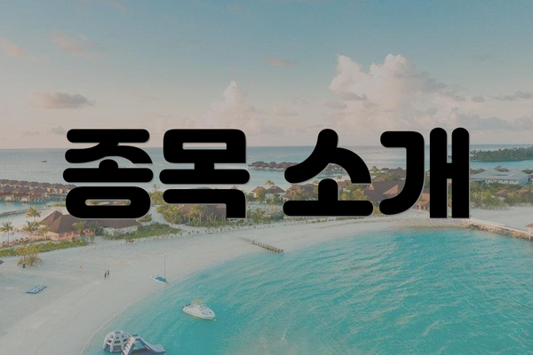 종목 소개