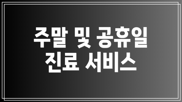 주말 및 공휴일 진료 서비스