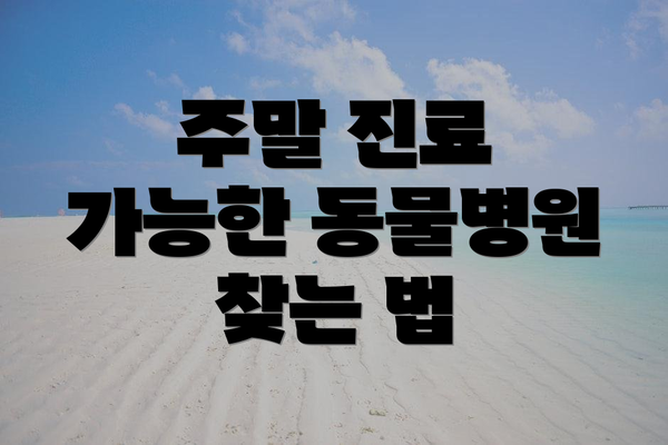 주말 진료 가능한 동물병원 리스트