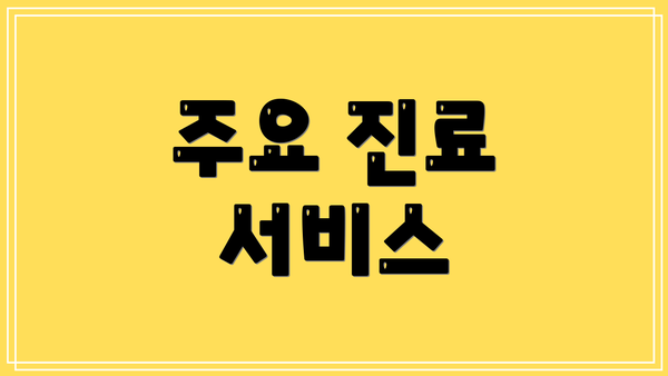 주요 진료 서비스