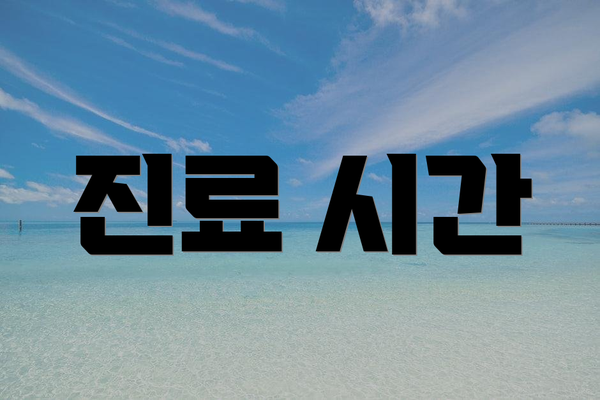 진료 시간