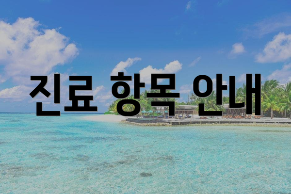 진료 항목 안내