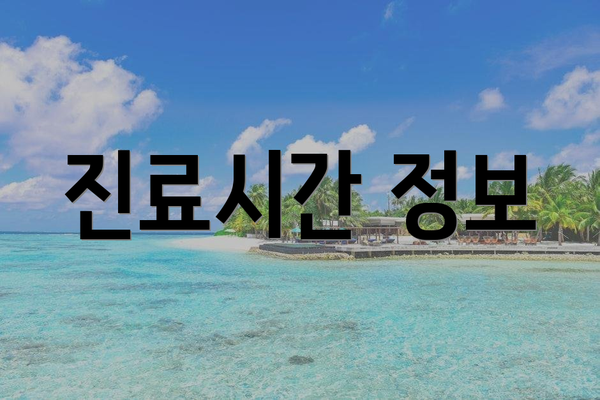 진료시간 정보