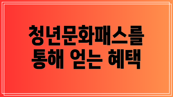 청년문화패스를 통해 얻는 혜택