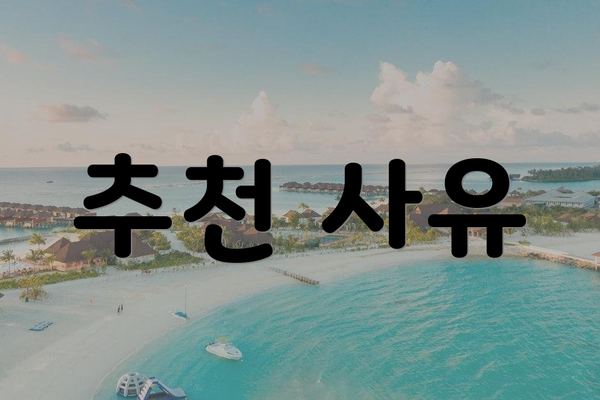 추천 사유