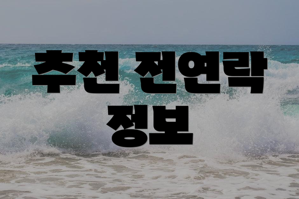 추천 전연락 정보