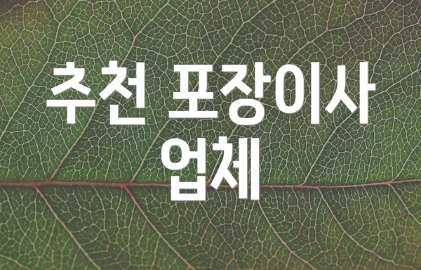 추천 포장이사 업체