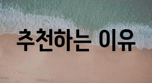 추천하는 이유