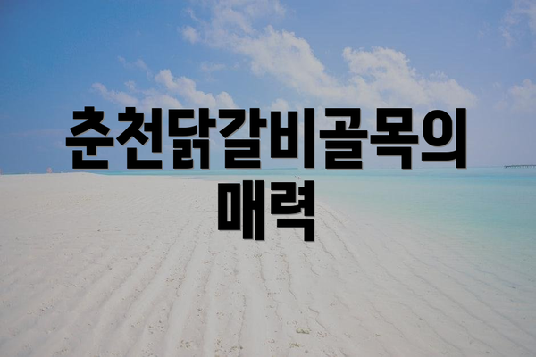 춘천닭갈비골목의 매력