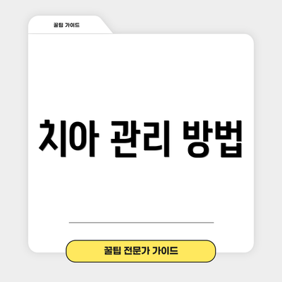 치아 관리 방법