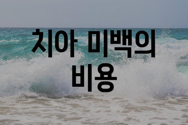 치아 미백의 비용