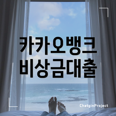카카오뱅크 비상금대출