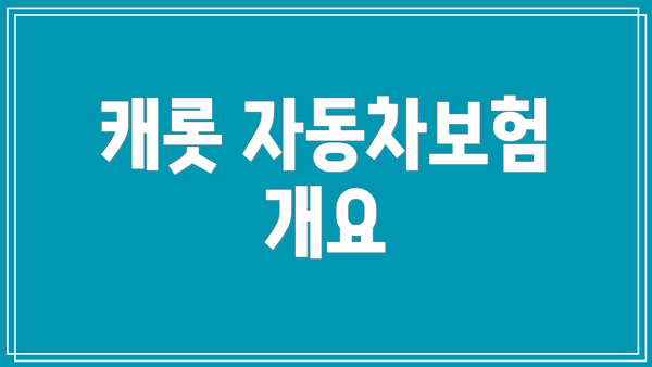 캐롯 자동차보험 개요