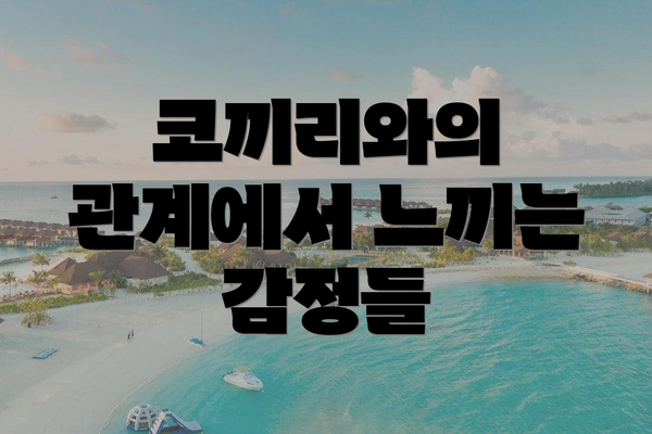 코끼리와의 관계에서 느끼는 감정들