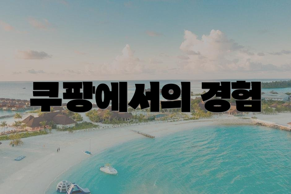 쿠팡에서의 경험