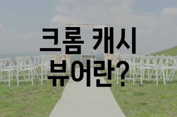 크롬 캐시 뷰어란?