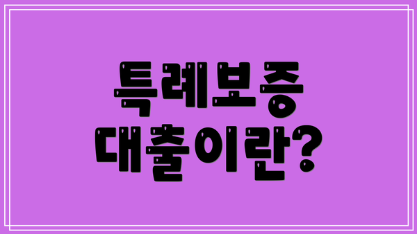 특례보증 대출이란?