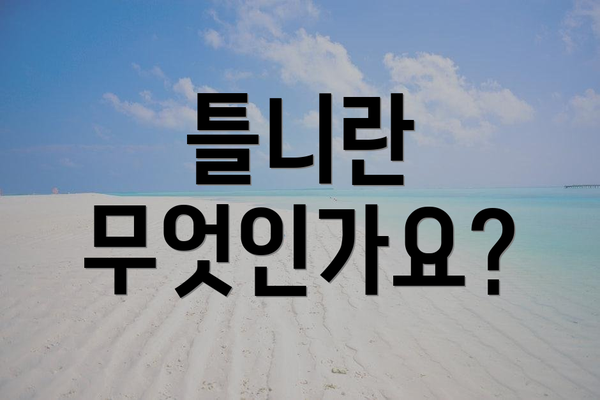 틀니란 무엇인가요?