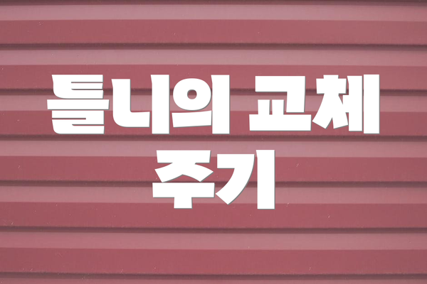틀니의 교체 주기