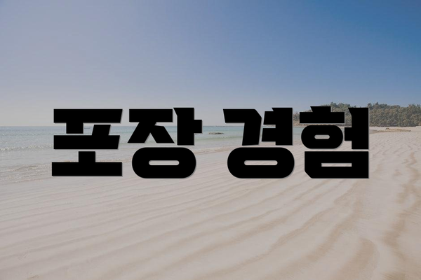 포장 경험