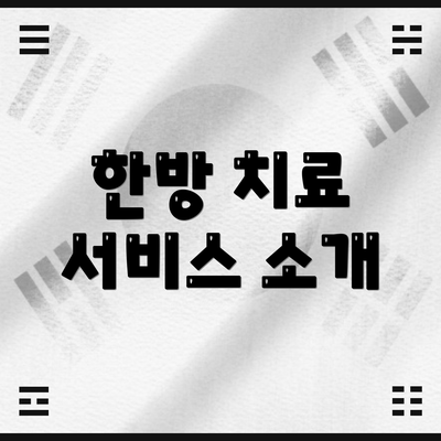 한방 치료 서비스 소개