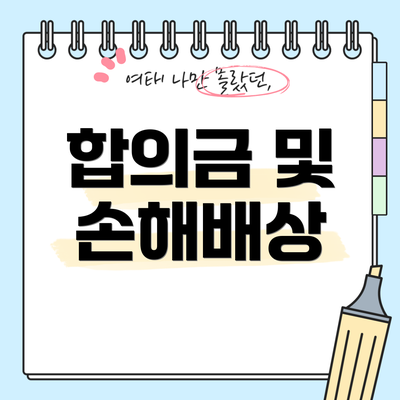 합의금 및 손해배상