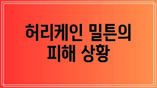 허리케인 밀튼의 피해 상황