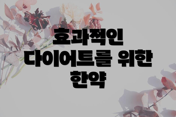 효과적인 다이어트를 위한 한약