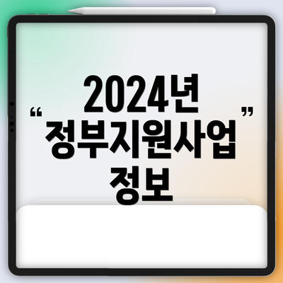 2024년 정부지원사업 정보