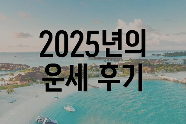2025년의 운세 후기