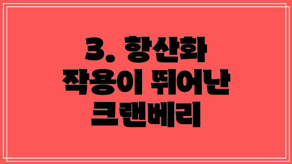 3. 항산화 작용이 뛰어난 크랜베리