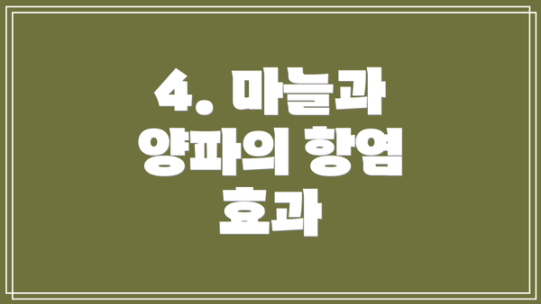 4. 마늘과 양파의 항염 효과