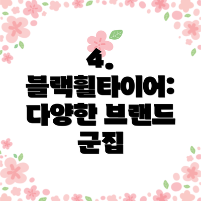 4. 블랙휠타이어: 다양한 브랜드 군집