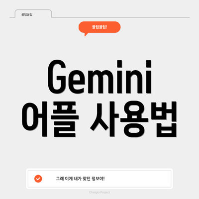 Gemini 어플 사용법