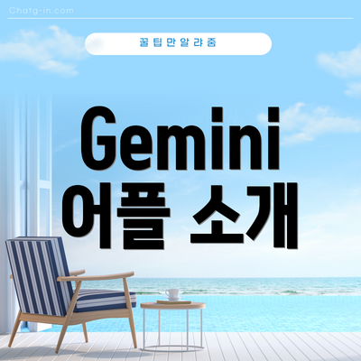 Gemini 어플 소개