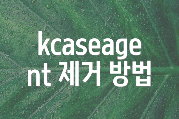 kcaseagent 제거 방법