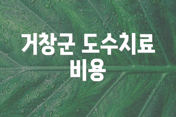 거창군 도수치료 비용