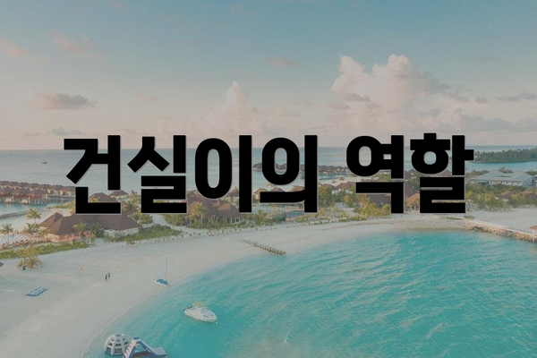 건실이의 역할
