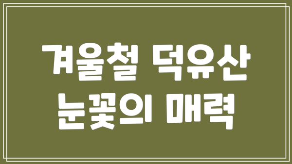 겨울철 덕유산 눈꽃의 매력