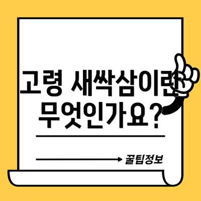 고령 새싹삼이란 무엇인가요?