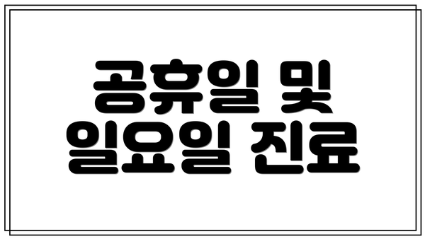 공휴일 및 일요일 진료