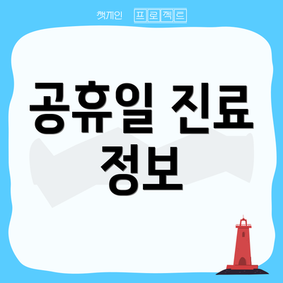 공휴일 진료 정보