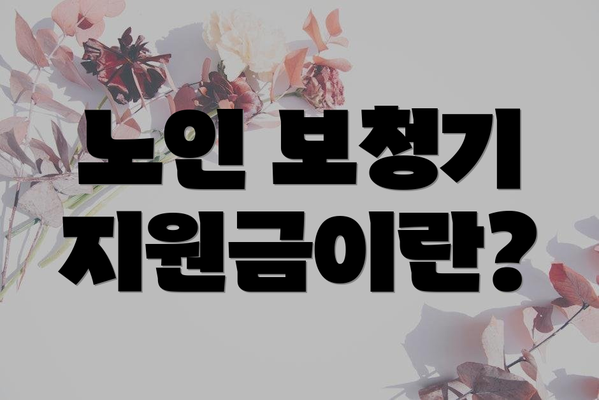 노인 보청기 지원금이란?