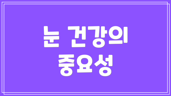눈 건강의 중요성