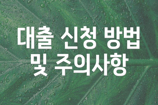 대출 신청 방법 및 주의사항