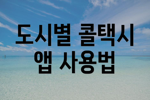 도시별 콜택시 앱 사용법