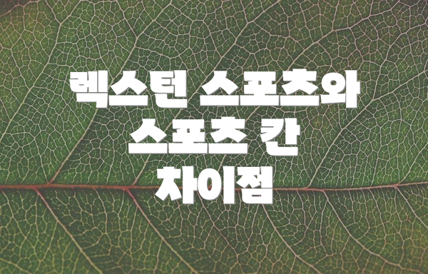 렉스턴 스포츠와 스포츠 칸 차이점