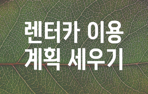 렌터카 이용 계획 세우기